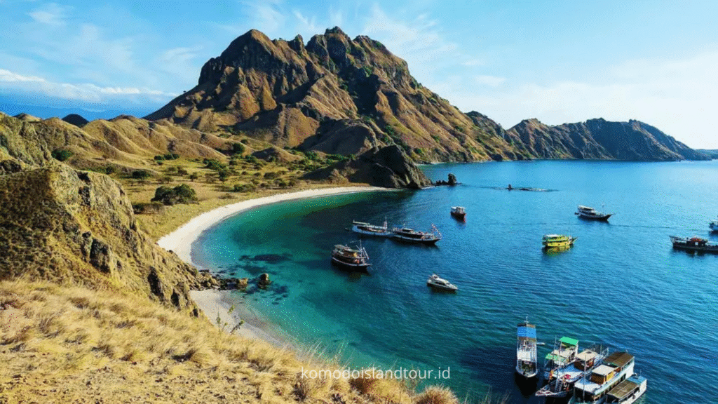 labuan bajo, rinca island, komodo national park, taman nasional komodo, komodo trip, open trip komodo, boat trip komodo, komodo trip from lombok, komodo trip from labuan bajo, komodo dragons, open trip labuan bajo, labuan bajo trip