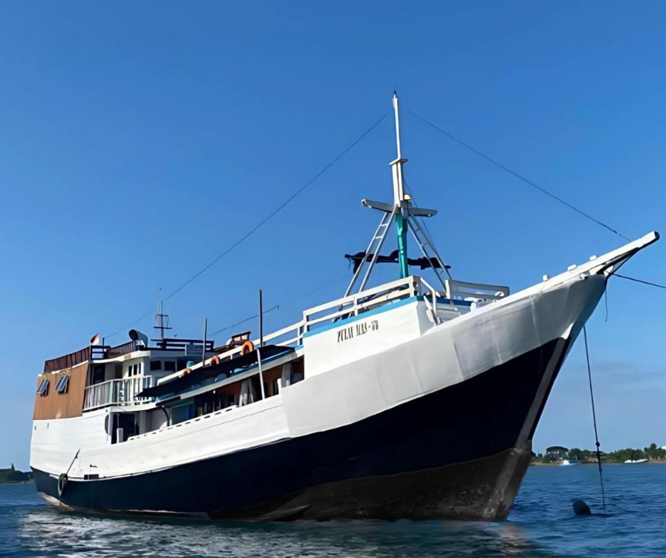 Golden Island Cruises Standard Boat