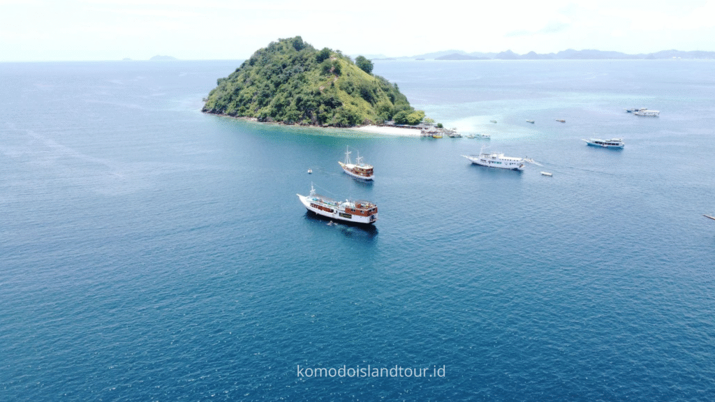 labuan bajo, open trip komodo island, komodo island tour, labuan bajo adventures
