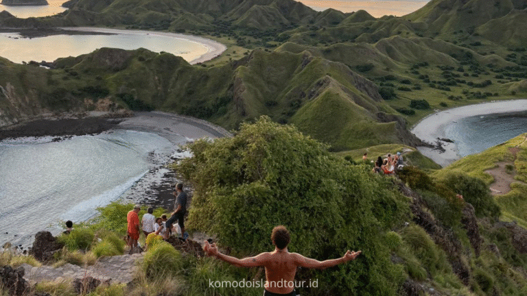 padar island, komodo island, komodo tour, komodo island tour, komodo trip, labuan bajo adventures