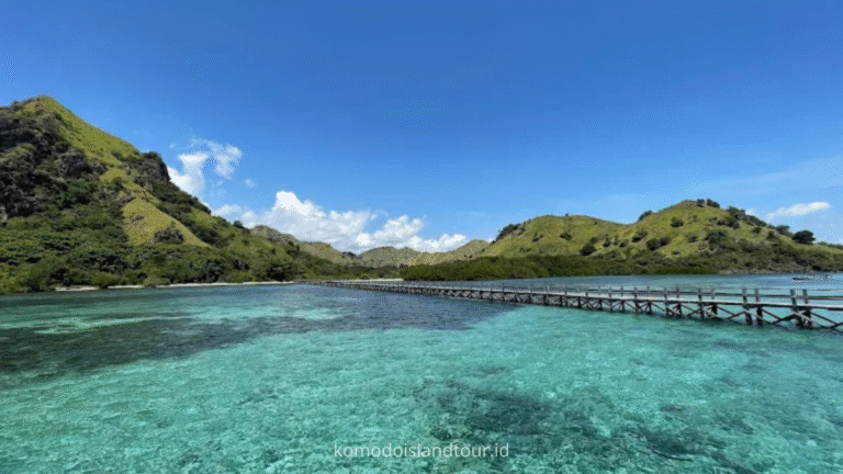 manjarite island, komodo island, labuan bajo adventures