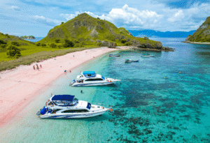 one day tour komodo island