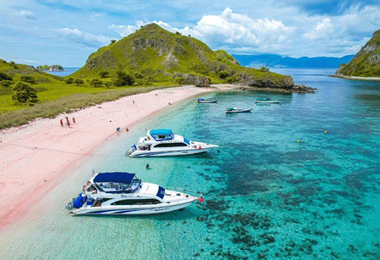 one day tour komodo island