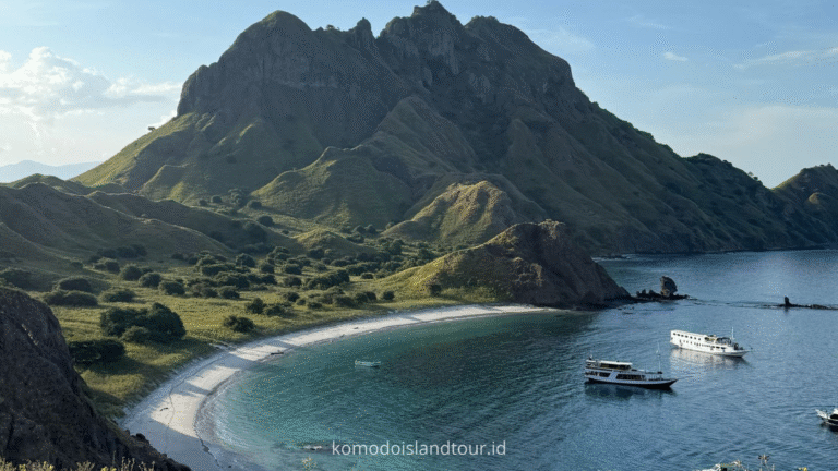 komodo island, komodo dragons, padar island, komodo tour, labuan bajo adventures