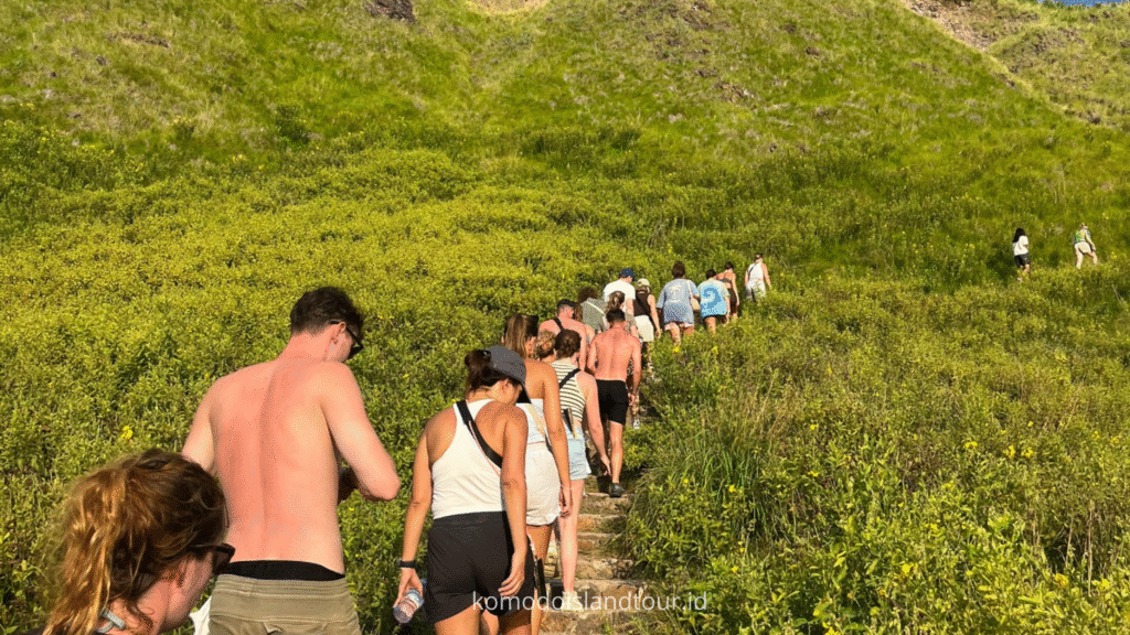 labuan bajo, labuan bajo, rinca island, komodo national park, taman nasional komodo, komodo trip, open trip komodo, boat trip komodo, komodo trip from lombok, komodo trip from labuan bajo, komodo dragons, open trip labuan bajo, labuan bajo trip, padar island