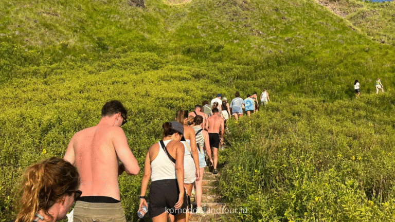 labuan bajo, labuan bajo, rinca island, komodo national park, taman nasional komodo, komodo trip, open trip komodo, boat trip komodo, komodo trip from lombok, komodo trip from labuan bajo, komodo dragons, open trip labuan bajo, labuan bajo trip, padar island