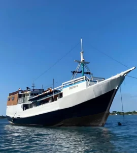 Standard boat island tour