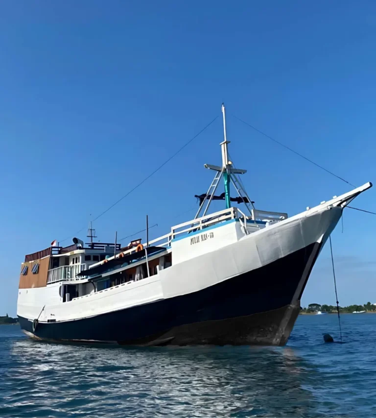 Standard boat island tour
