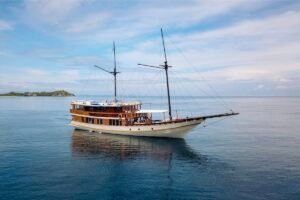 Komodo island tour, komodo tour, komodo tour from lombok, komodo tour from labuan bajo, komodo dragons