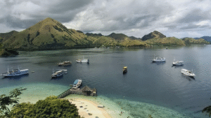 Komodo Island Tour Indonesia, komodo dragon, komodo national park, komodo island, rinca island, loh liang, loh liang komodo national park, komodo trip, open trip komodo island, komodo island trip, komodo trip from lombok to labuan bajo, komodo trip