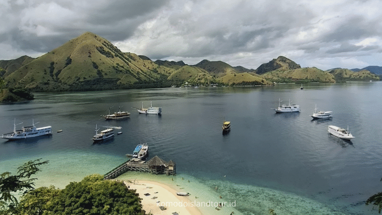 Komodo Island Tour Indonesia, komodo dragon, komodo national park, komodo island, rinca island, loh liang, loh liang komodo national park, komodo trip, open trip komodo island, komodo island trip, komodo trip from lombok to labuan bajo, komodo trip