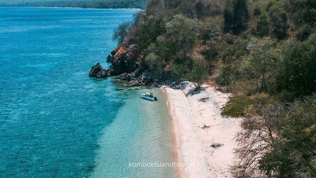Moyo Island Sumbawa