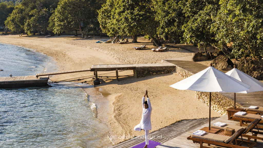 amanwana moyo island