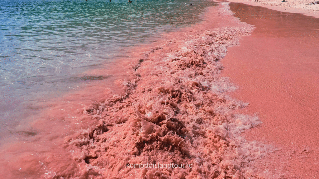 Pink Beach