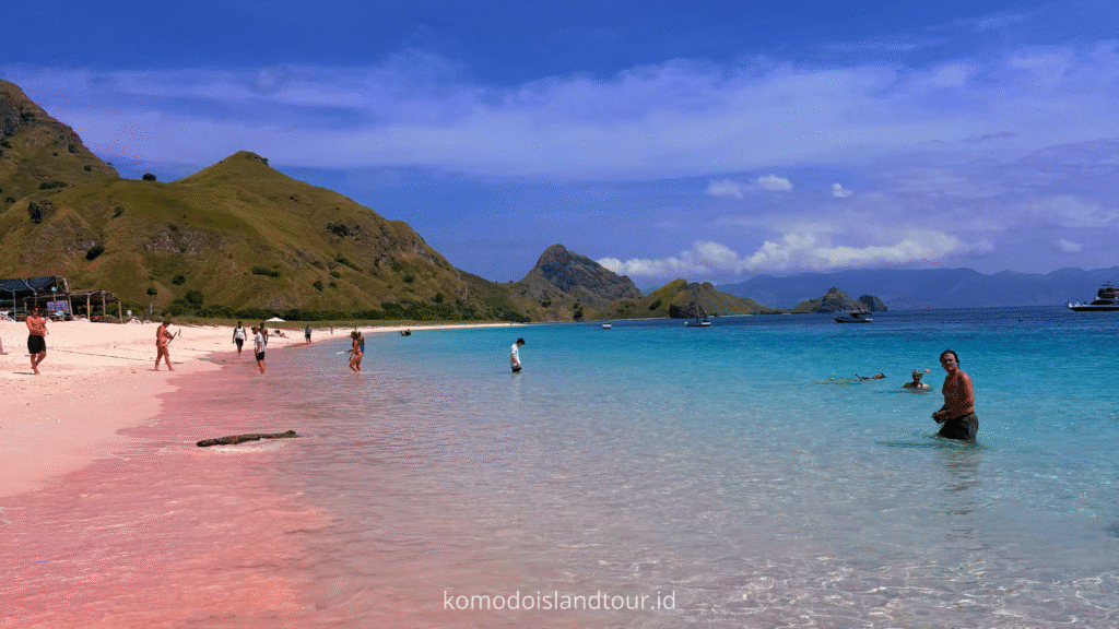 Pink Beach, pink sand, komodo trip, komodo island, indonesia travel