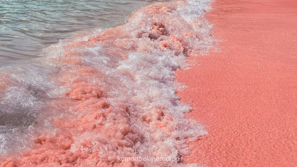 Pink Beach of Komodo Island
