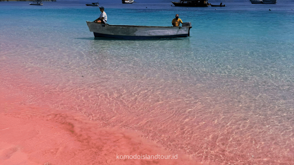Labuan Bajo Adventures, Pink Beach of Komodo Island, pink beach, snorkeling, komodo island