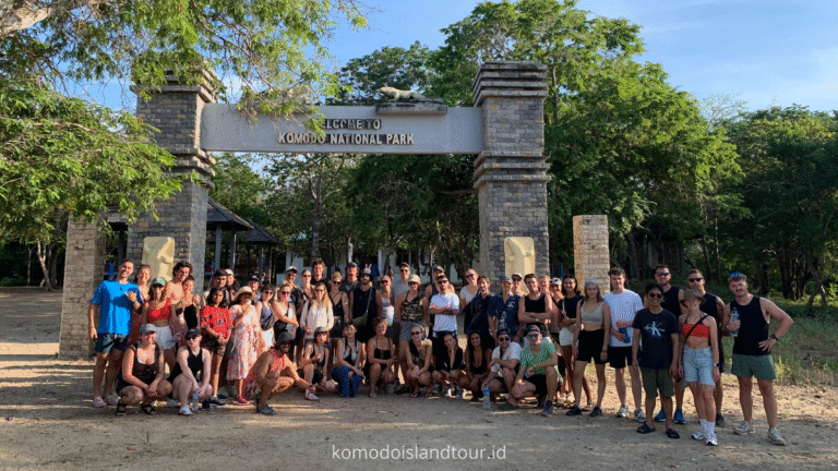 Labuan Bajo Adventures, Komodo National Park, komodo island, rinca island, komodo dragons