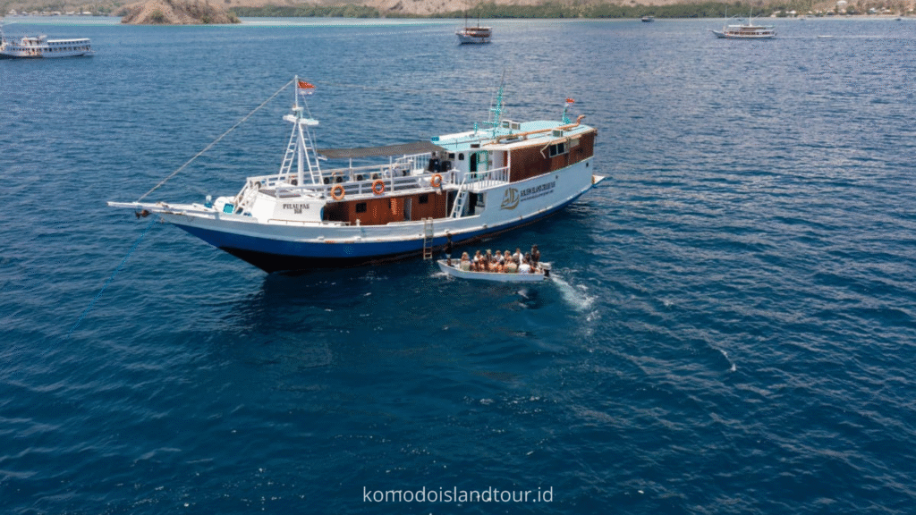 Komodo Tour, komodo island tour, komodo island, komodo tour from lombok