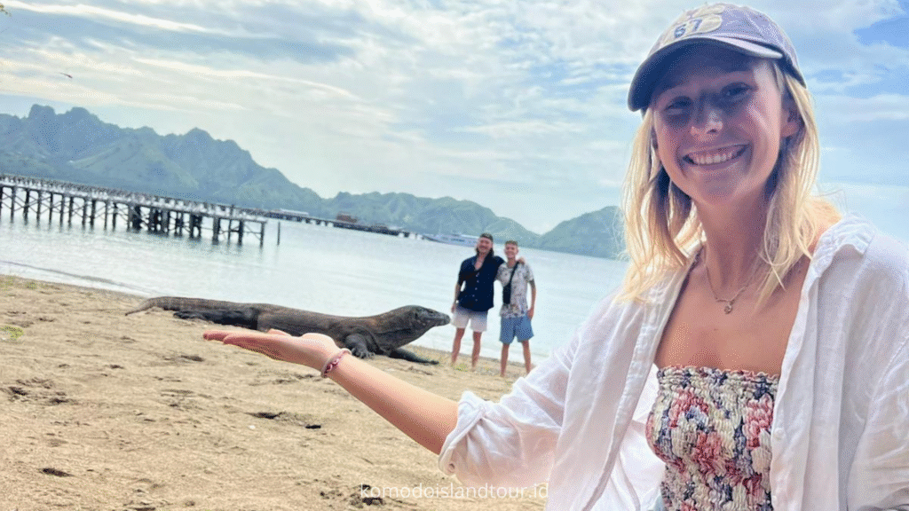 Loh Liang Komodo Island, komodo dragons, labuan bajo, rinca island, komodo national park, taman nasional komodo, komodo trip, open trip komodo, boat trip komodo, komodo trip from lombok, komodo trip from labuan bajo, komodo dragons, open trip labuan bajo, labuan bajo trip