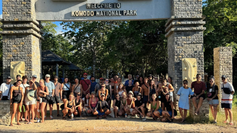Loh Liang Komodo Island, labuan bajo, rinca island, komodo national park, taman nasional komodo, komodo trip, open trip komodo, boat trip komodo, komodo trip from lombok, komodo trip from labuan bajo, komodo dragons, open trip labuan bajo, labuan bajo trip