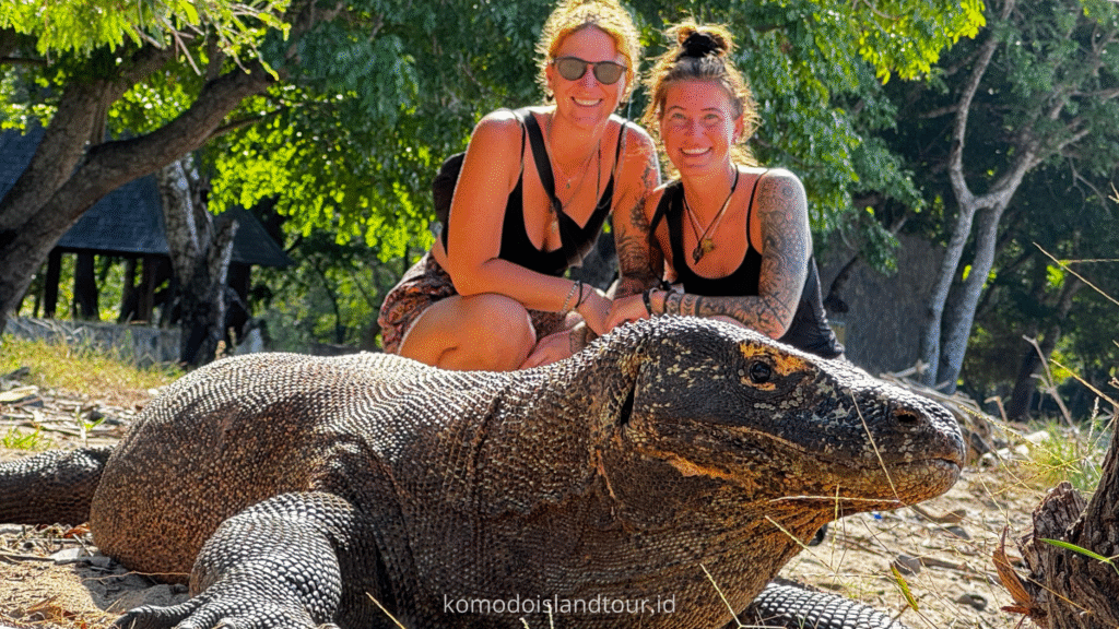 Komodo Dragon at Loh Liang, Loh Liang Komodo Island, komodo dragons, labuan bajo, rinca island, komodo national park, taman nasional komodo, komodo trip, open trip komodo, boat trip komodo, komodo trip from lombok, komodo trip from labuan bajo, komodo dragons, open trip labuan bajo, labuan bajo trip