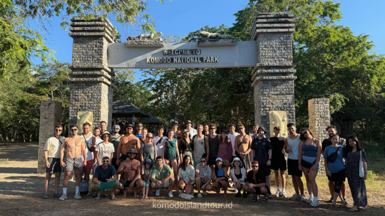 Komodo Island Tour Indonesia, komodo island, komodo national park, open trip labuan bajo, labuan bajo, labuan bajo trip, pink beach