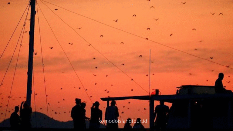 kalong island, island hopping, boat tour, open trip, komodo trip, labuan bajo