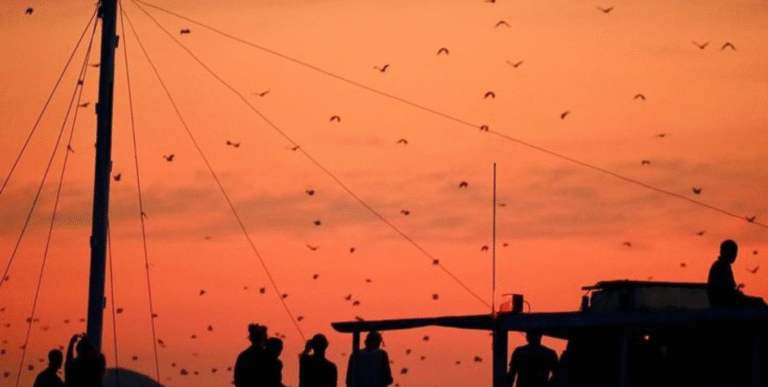 kalong island, island hopping, boat tour, open trip, komodo trip, labuan bajo