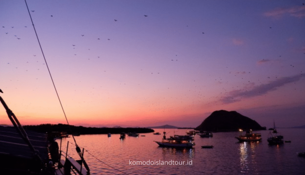 kalong island