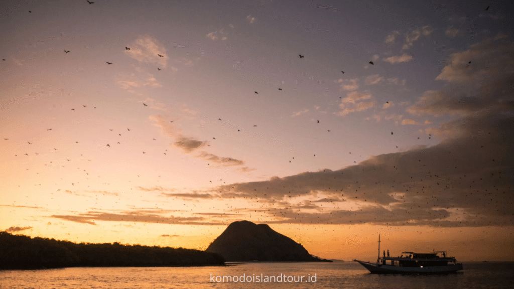 kalong island, boat tour
