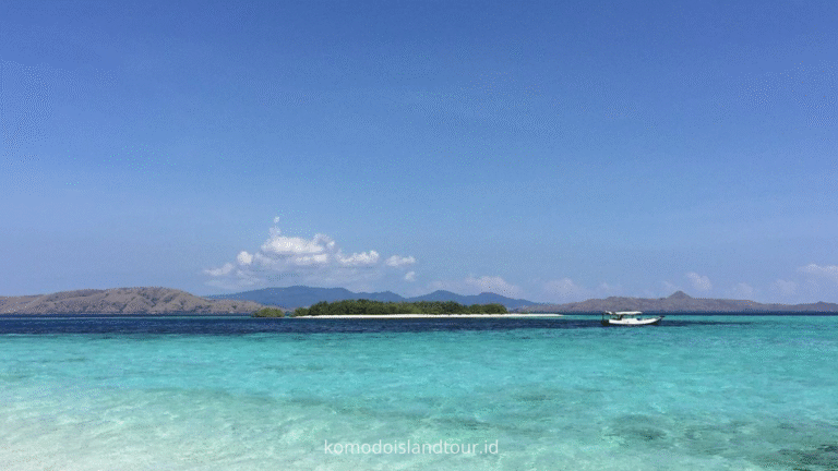 taka makassar, open trip komodo island, trip from labuan bajo