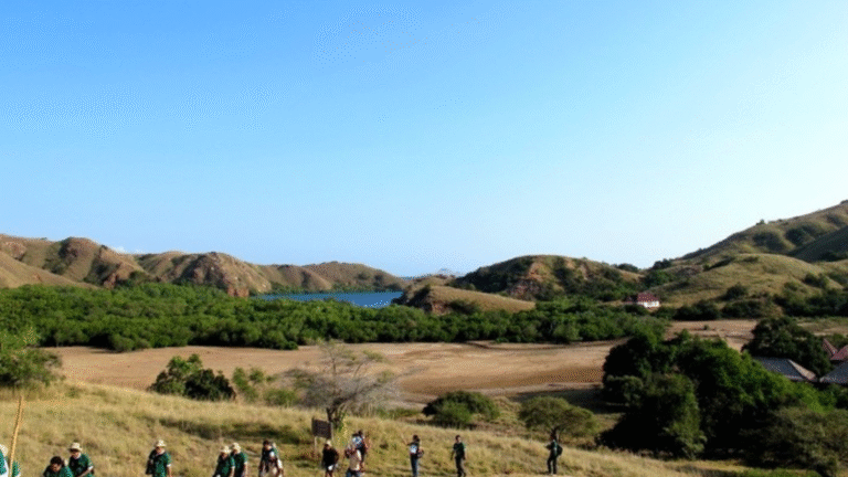 rinca island, komodo national park, taman nasional komodo, komodo trip, open trip komodo, boat trip komodo, komodo trip from lombok, komodo trip from labuan bajo, komodo dragons