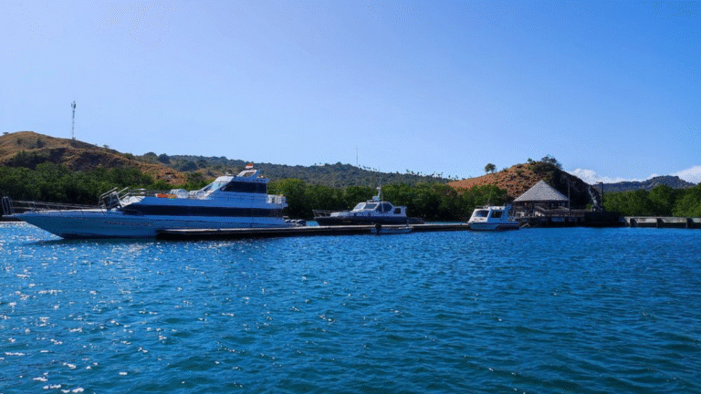 rinca island, komodo national park, taman nasional komodo, komodo trip, open trip komodo, boat trip komodo, komodo trip from lombok, komodo trip from labuan bajo, komodo dragons