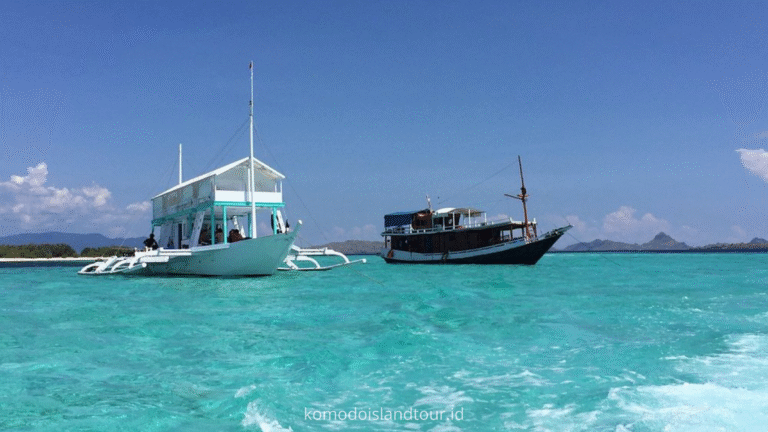taka makassar, komodo island, komodo trip, komodo open trip