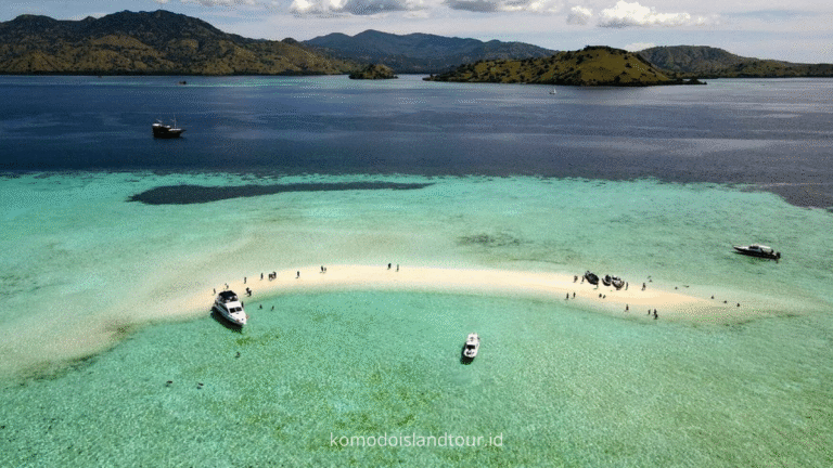 taka makassar,boat trip komodo island, open trip komodo island, island hopping