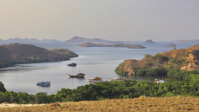 rinca island, komodo national park, taman nasional komodo, komodo trip, open trip komodo, boat trip komodo, komodo trip from lombok, komodo trip from labuan bajo, komodo dragons