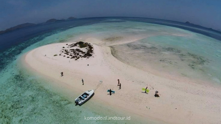 taka makassar, labuan bajo, komodo trip, open trip, komodo island, hidden gem in indonesia