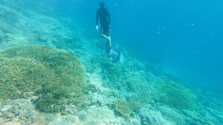taka makassar, island hopping, boat tour, trip from labuan bajo