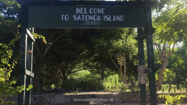 satonda island, satonda trip, boat trip satonda island, open trip sumbawa, sumbawa island