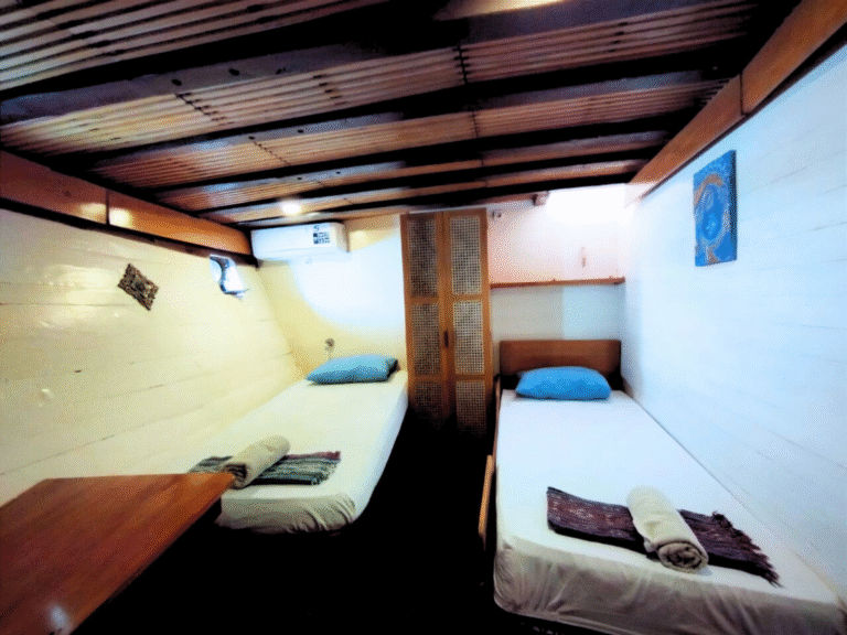 sehat elona, sehat elona boat, sehat elona liveaboard, sehat elona phinisi, sehat elona luxury phinisi, sehat elona komodo, sehat elona komodo tour, sehat elona partner boat, sehat elona partner liveaboard, sehat elona luxury boat, sehat elona liveaboard komodo, sehat elona komodo liveaboard, sehat elona labuan bajo, sehat elona lombok labuan bajo, sehat elona shared cabin, sehat elona private cabin, sehat elona cabin, sehat elona 4d3n, sehat elona trip komodo, sehat elona booking