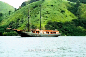 Angelica Liveboard, komodo trip, labuan bajo, komodo island, liveboard komodo island