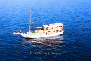diara la oceano, diara liveboard, komodo trip, labuan bajo, komodo island, liveboard komodo island