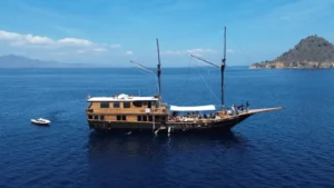 black beard phinisi, black beard liveboard