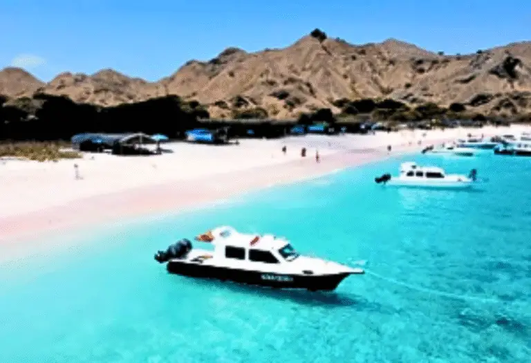 Sharing speed boat Komodo Tour