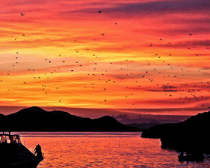 Private Sunset Trip from Labuan Bajo boat