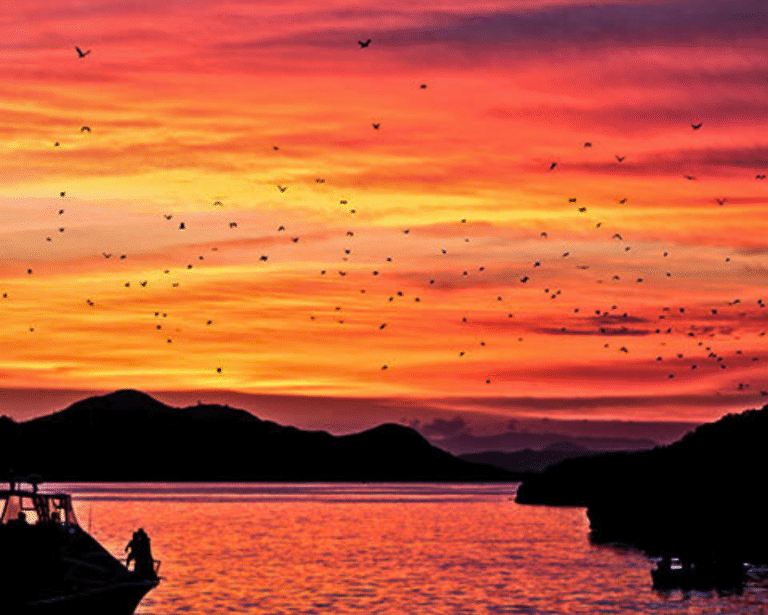 Private Sunset Trip from Labuan Bajo boat