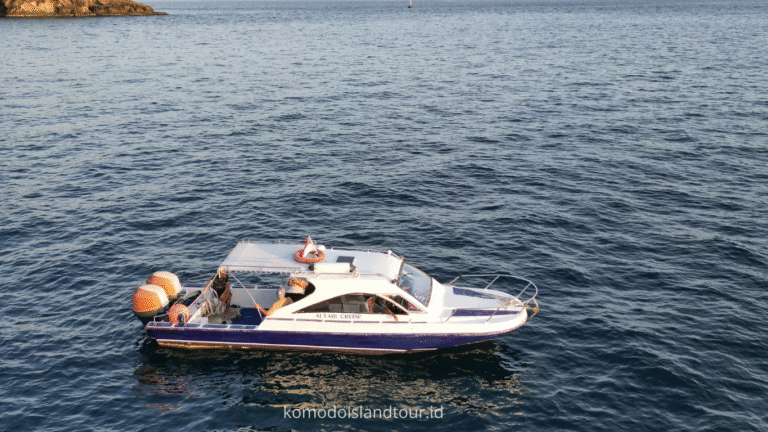 komodo island, komodo tour, komodo dragon, one day tour by speedboat, labuan bajo, labuan bajo trip