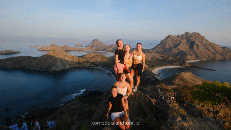 komodo island, komodo tour, komodo dragon, one day tour by speedboat, labuan bajo, pink beach, padar island