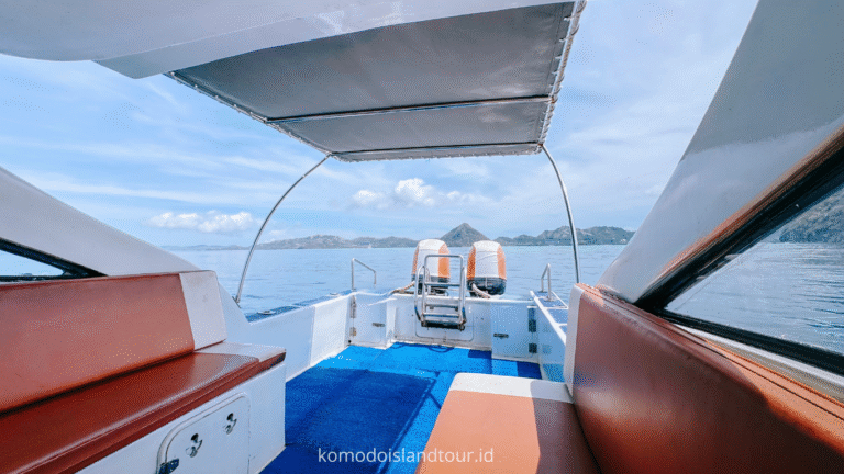 komodo island, komodo tour, komodo dragon, one day tour by speedboat, labuan bajo